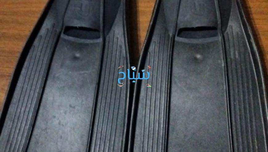 زعانف كليو