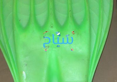d05e9066-42ab-41de-ac29-11c478977d89