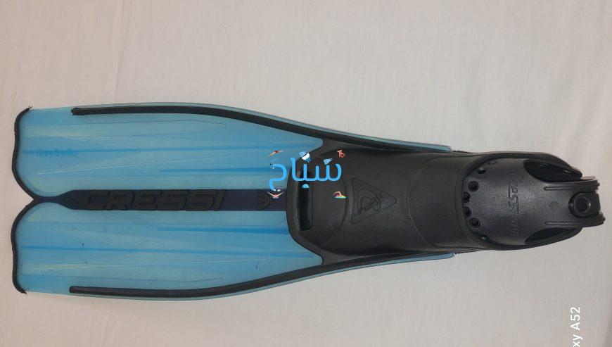 زعانف