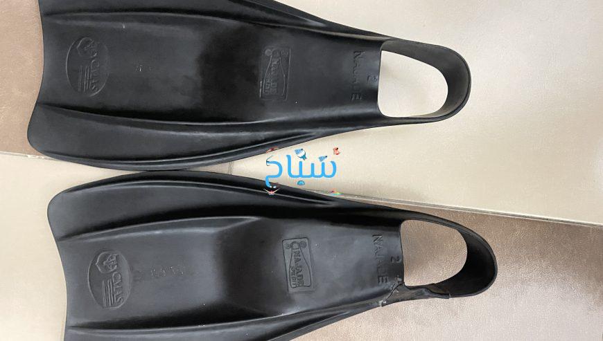 زعانف نجاد اصلي