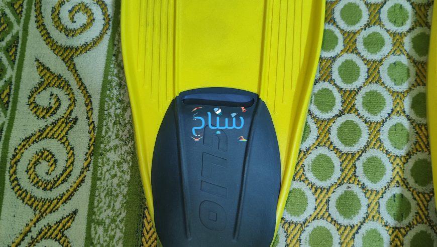 زعانف كرسي كليو