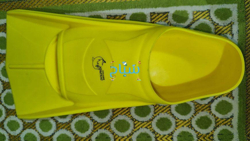 زعانف بطه