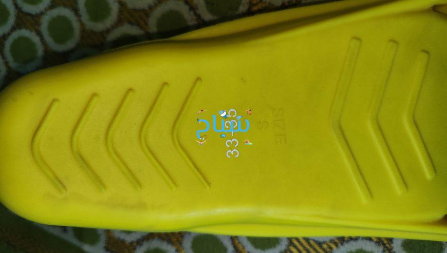 زعانف بطه
