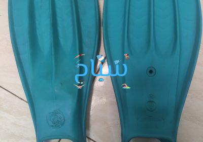 inbound2222916609588130499